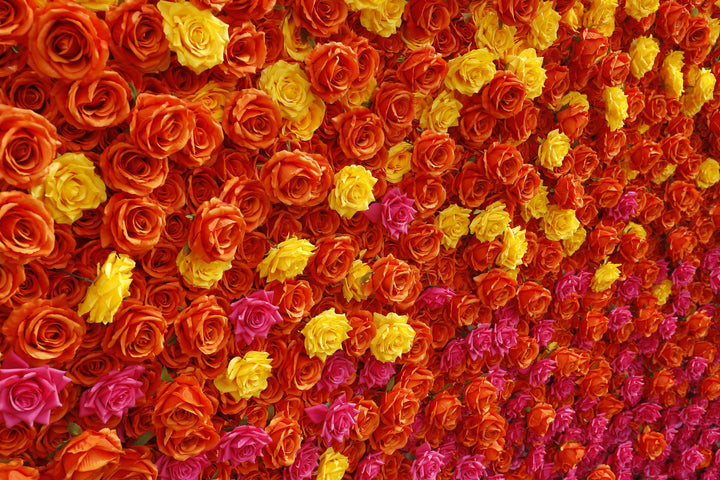 Gradient Orange And Red Roses, 5D, Fabric Backing Artificial Flower Wall