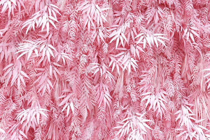 Pink Feather, Artificial Flower Wall, Wedding Party Backdrop