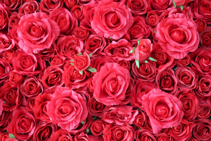 Red Roses, Artificial Flower Wall, Wedding Party Backdrop
