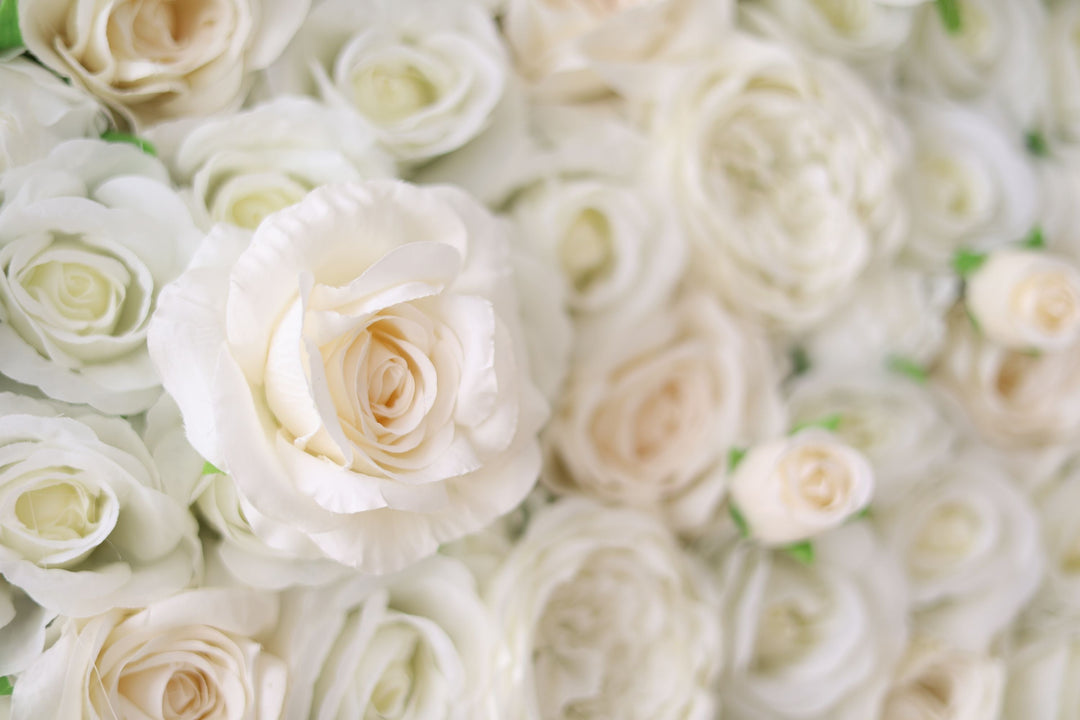 White Roses And Peonies, Artificial Flower Wall, Wedding Party Backdrop